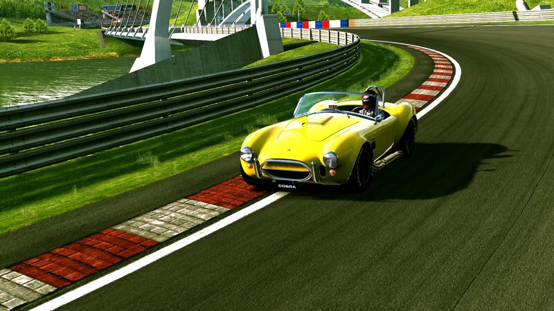 Yellow Cobra on a racetrack