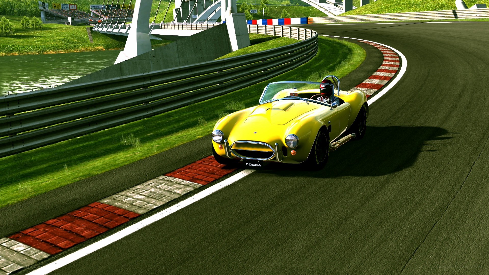 Yellow Cobra on a racetrack