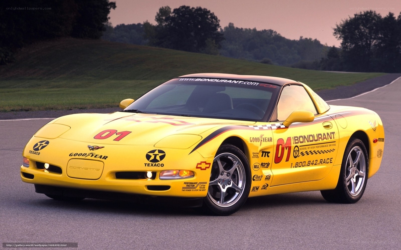 Yellow Corvette race car on track