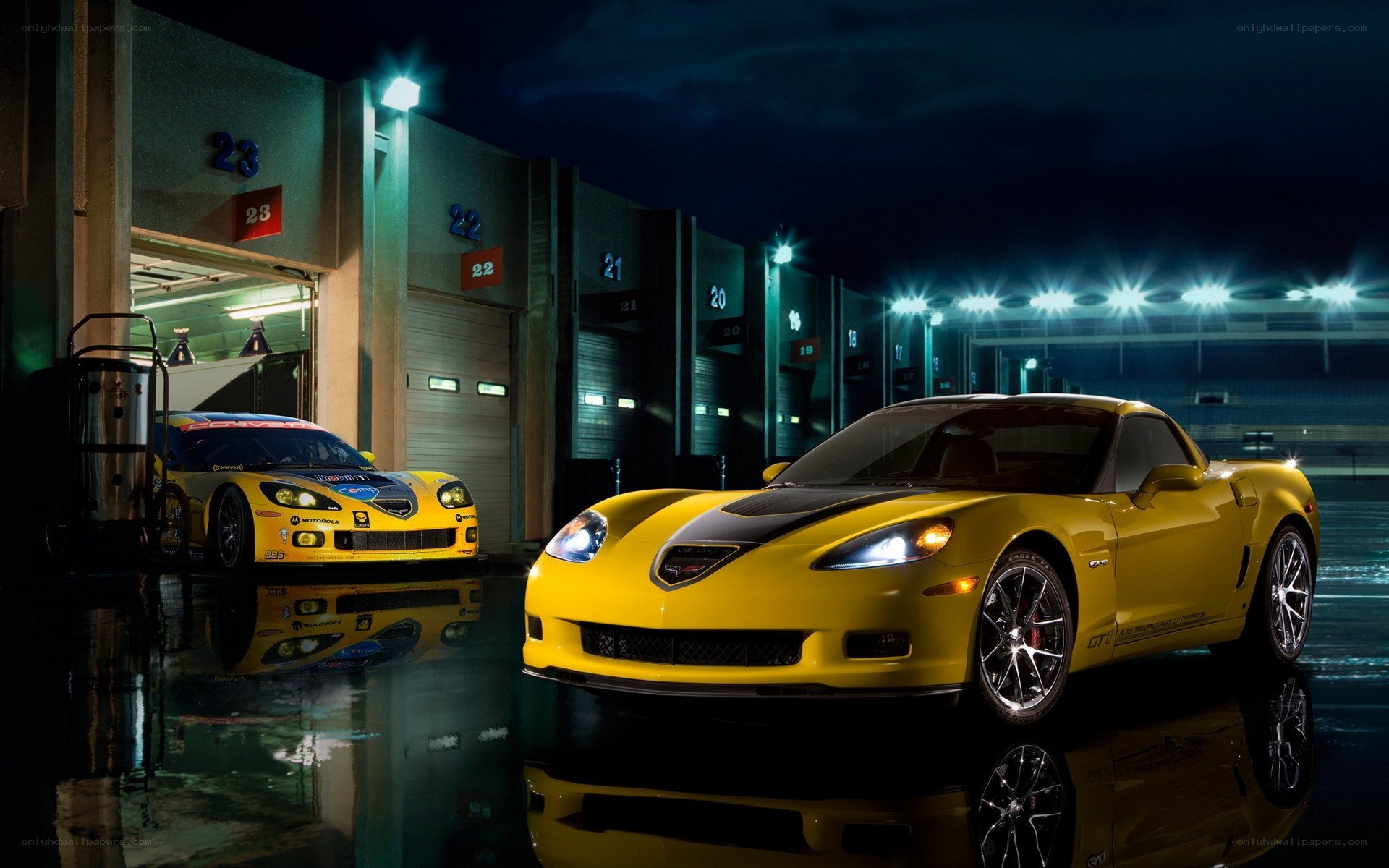 Yellow Corvettes at Night