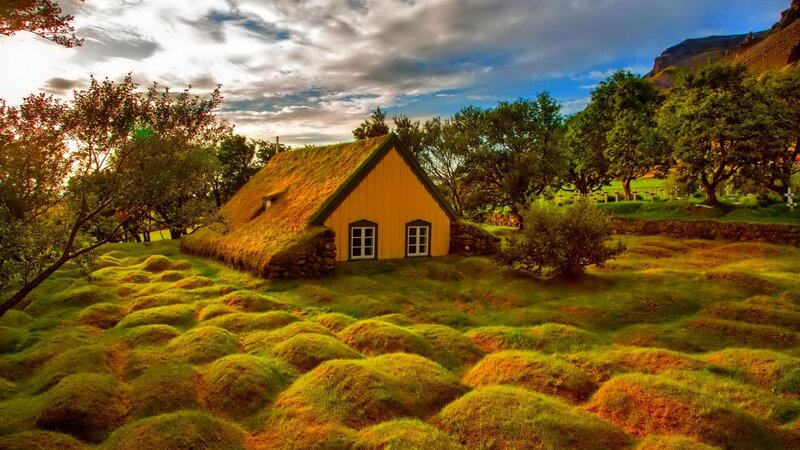 Yellow Cottage with Turf Roof