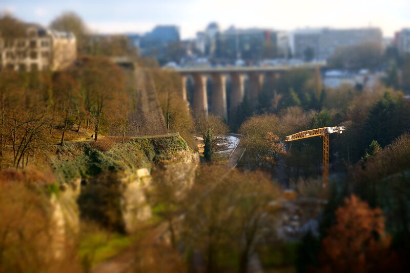 Yellow Crane on Hillside