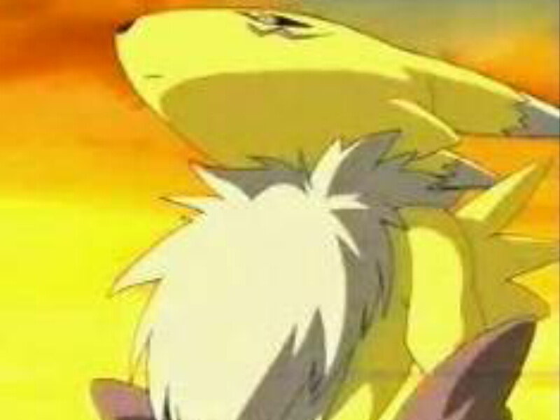 yellow creature in sunset
