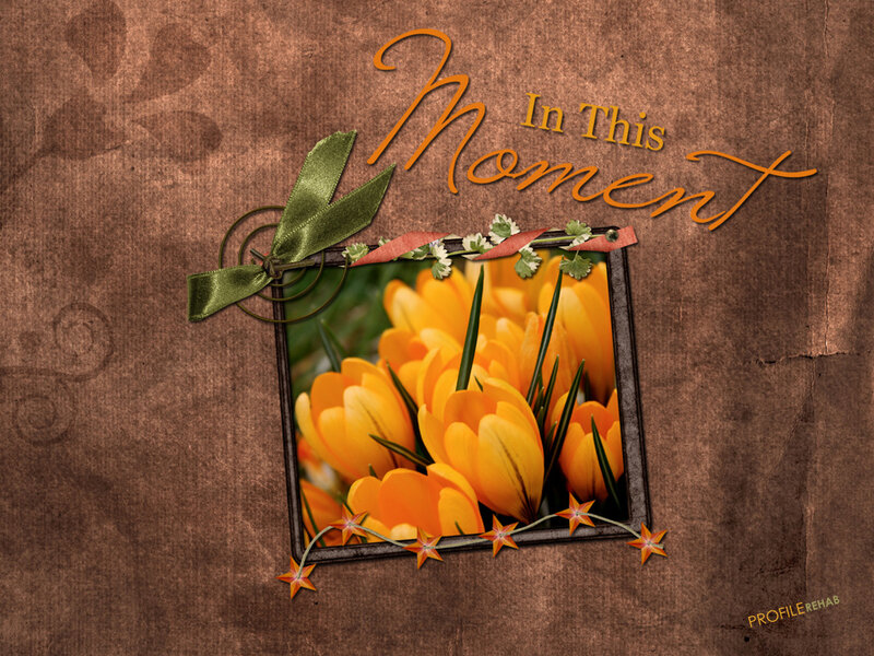 Yellow Crocuses in Frame