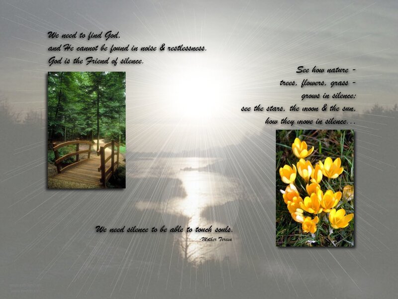 Yellow Crocuses in Grass — Gray