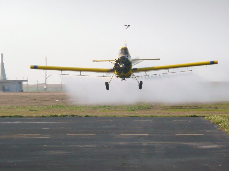Yellow crop duster plane landing