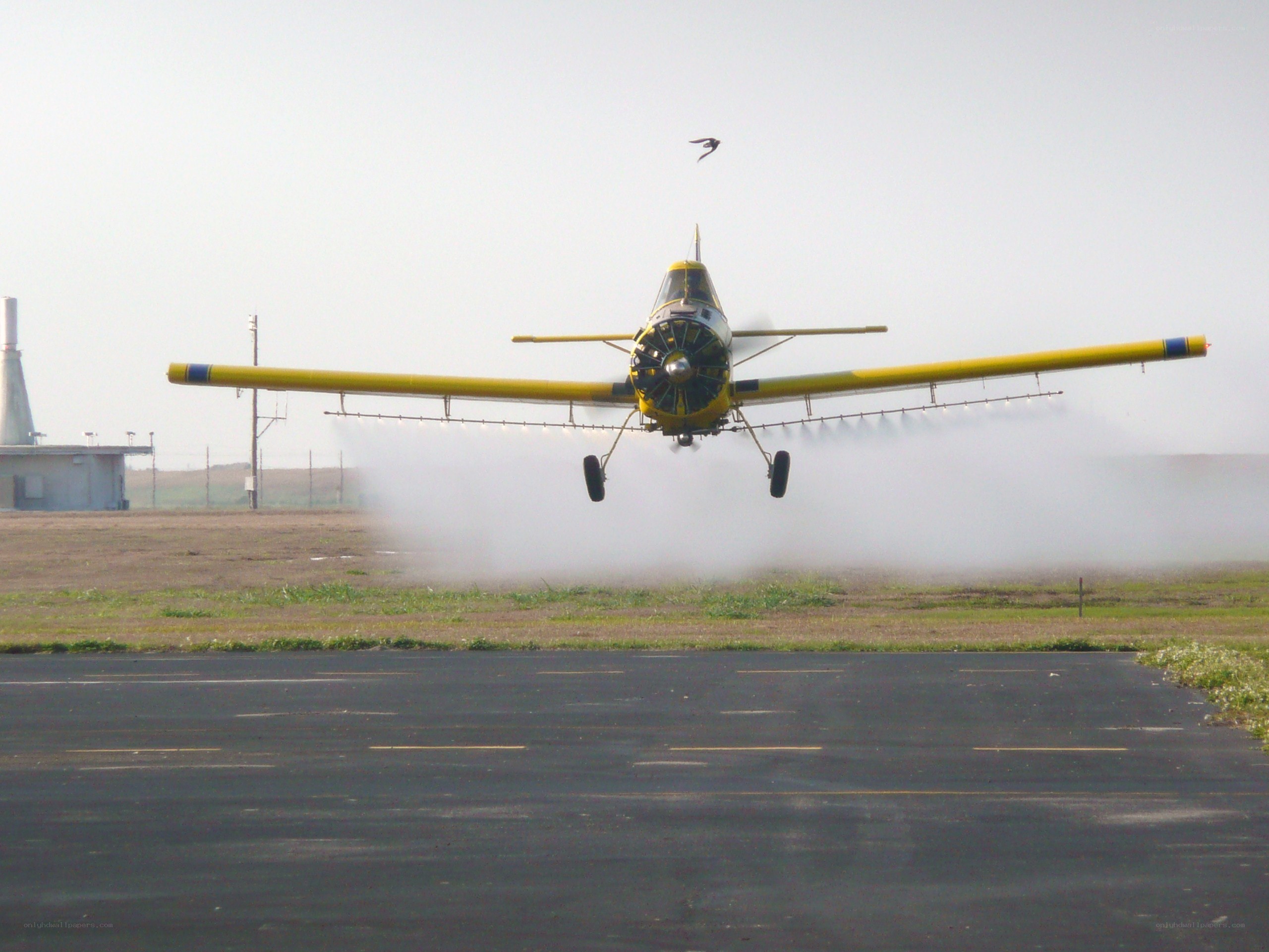 Yellow crop duster plane landing