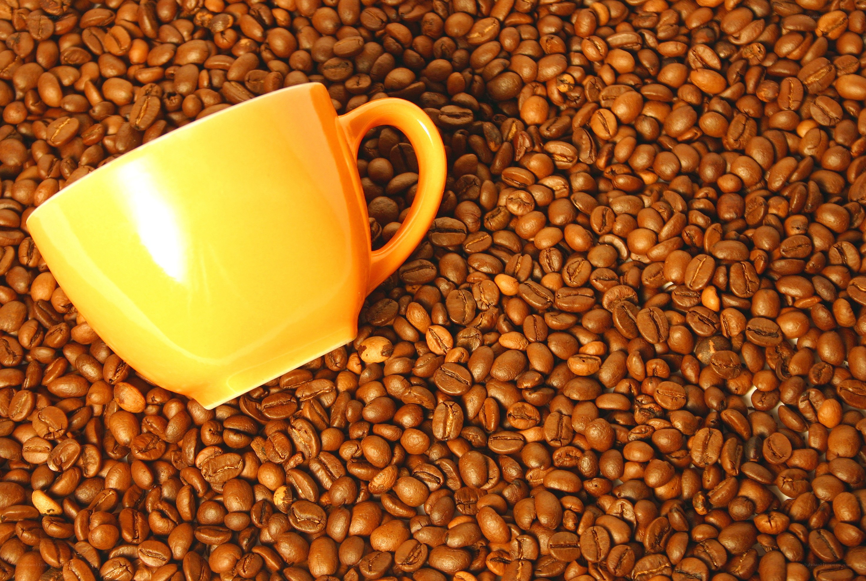 Yellow cup on coffee beans