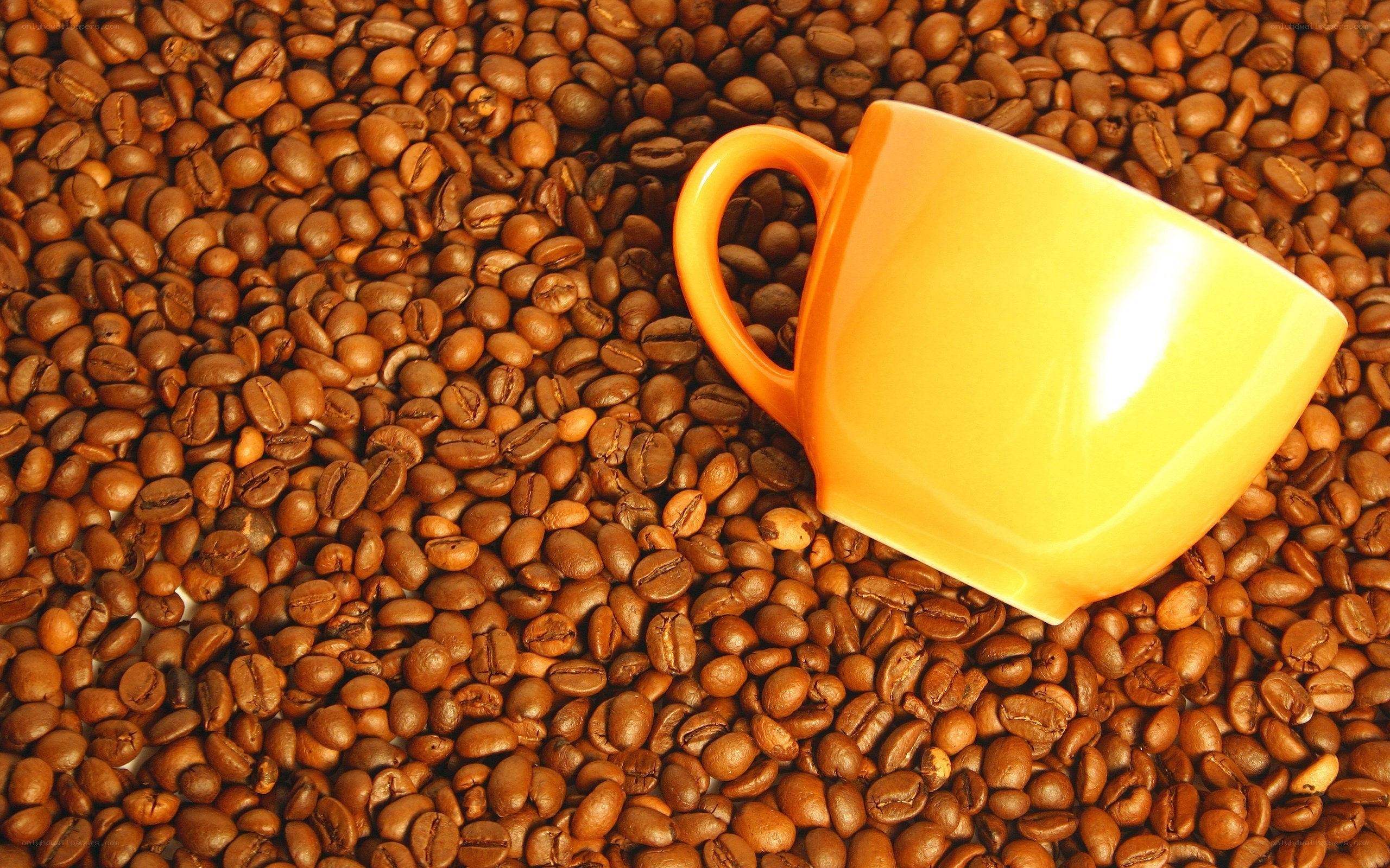 yellow cup on coffee beans