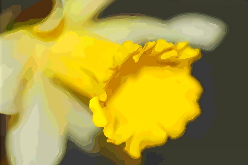 Yellow Daffodil Flower — Calm, Digital Art
