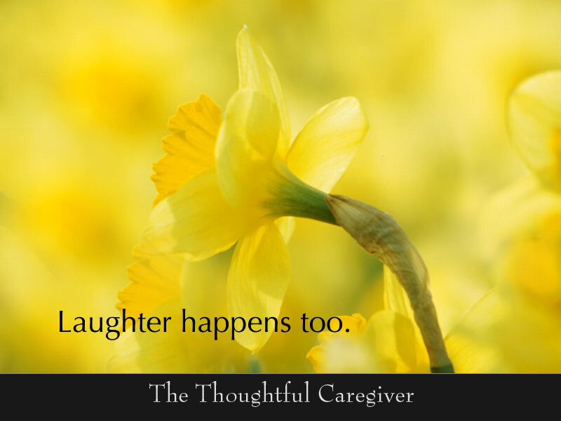 Yellow Daffodil Flower — Calm, Spring