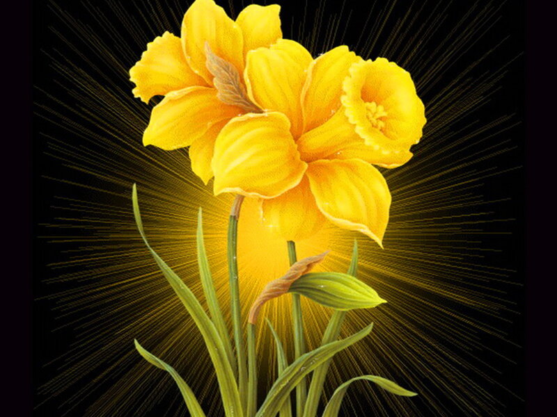 Yellow Daffodil Flower — Dramatic, Digital Art, Green Leaves