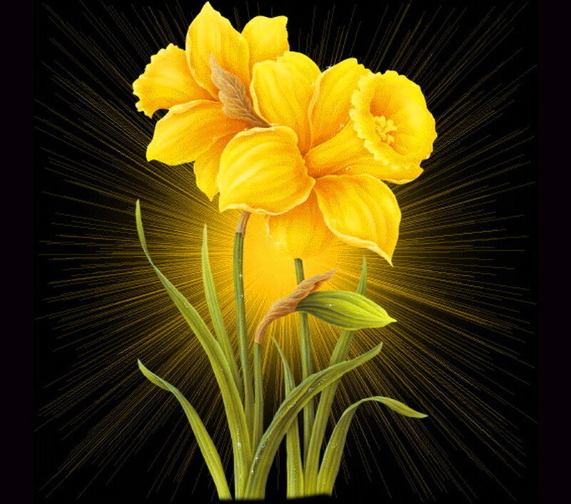 Yellow Daffodil Flower — Dramatic, Digital Art