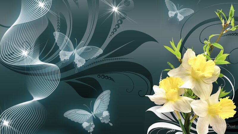 Yellow Daffodils and Butterflies