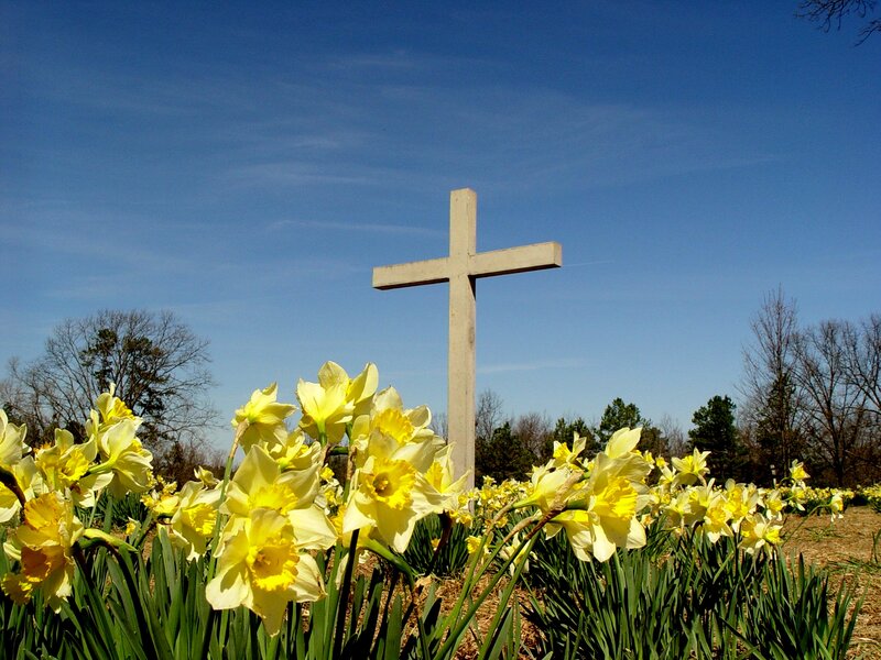 Yellow Daffodils and Cross