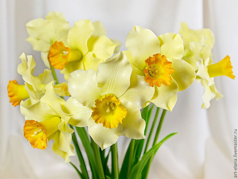 Yellow Daffodils in a Bouquet
