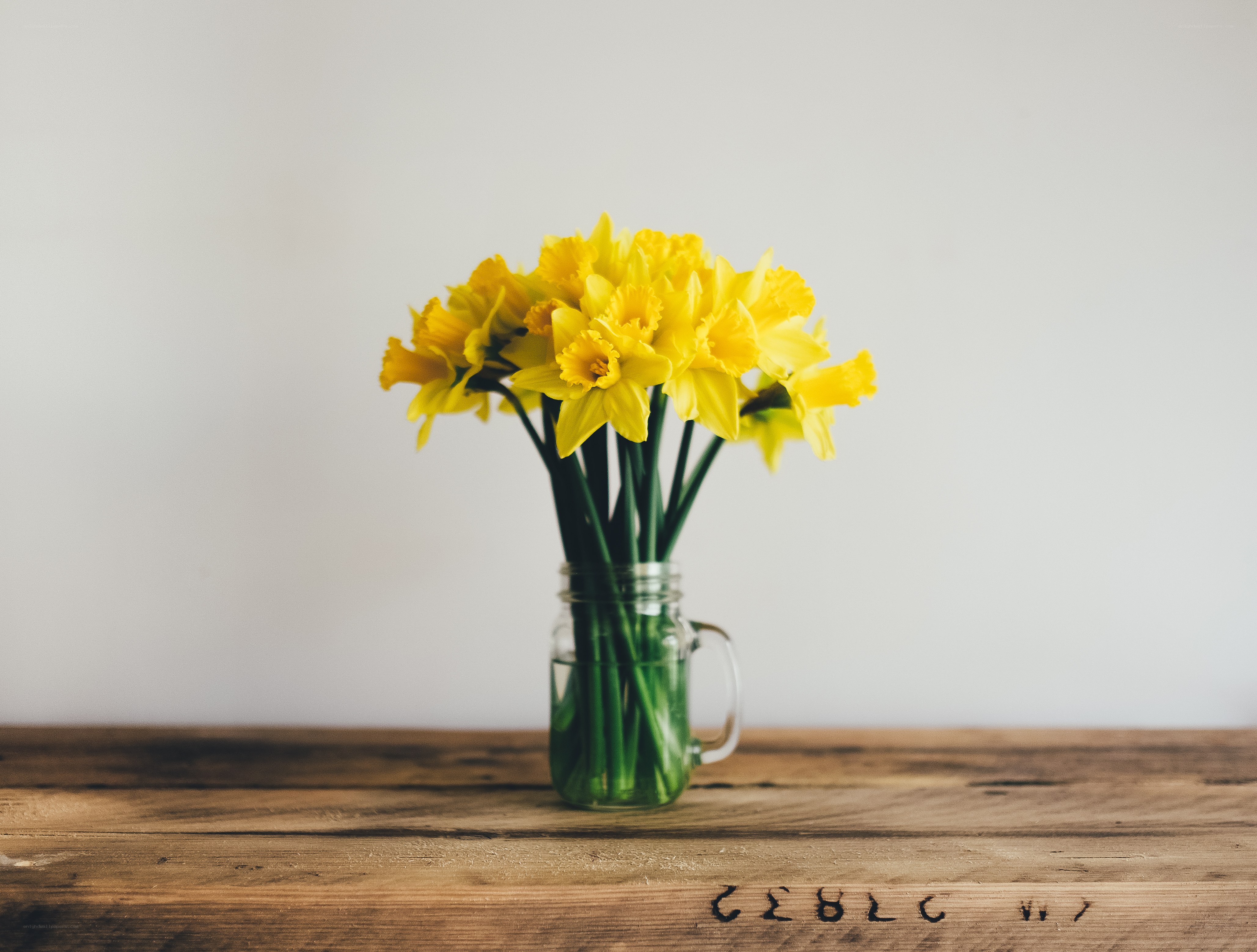 Yellow daffodils in a jar