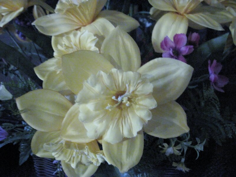 Yellow Daffodils in Bouquet