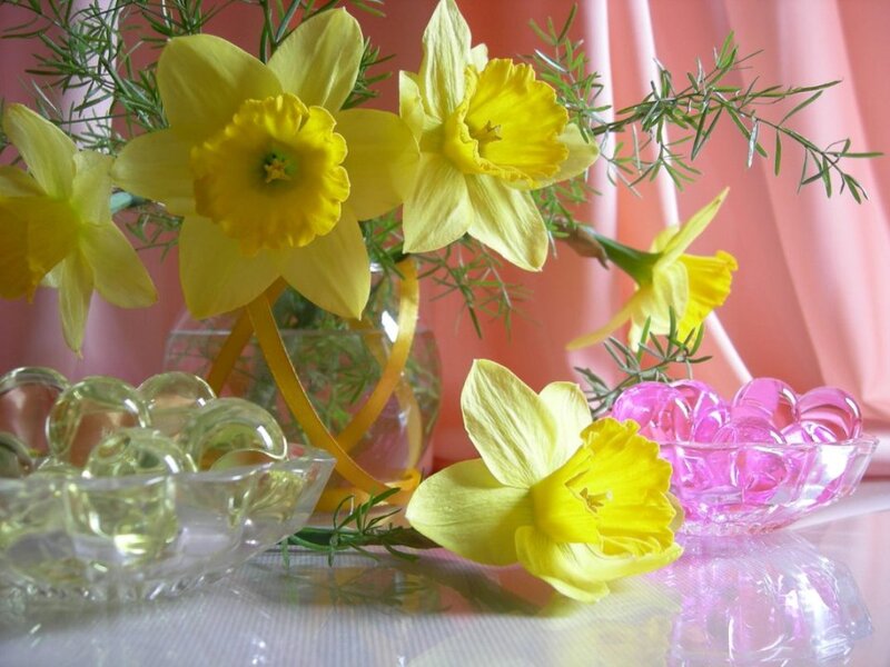 Yellow Daffodils in Vase — Calm, Spring, Photograph, Glass Bowls