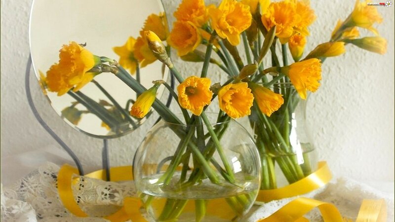 Yellow Daffodils in Vase — Calm, Spring, Photograph, Mirror