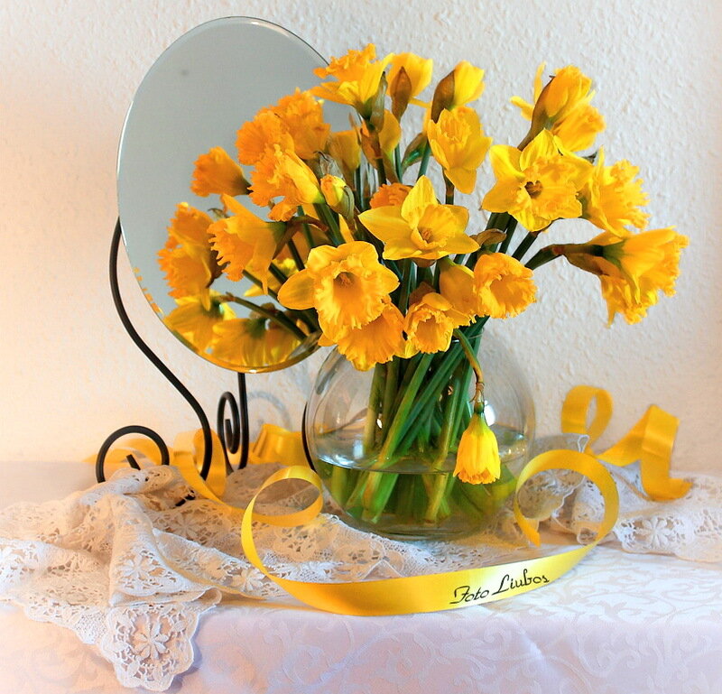 Yellow Daffodils in Vase — Calm