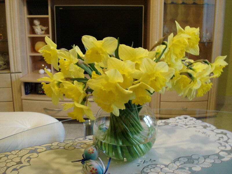 Yellow Daffodils in Vase