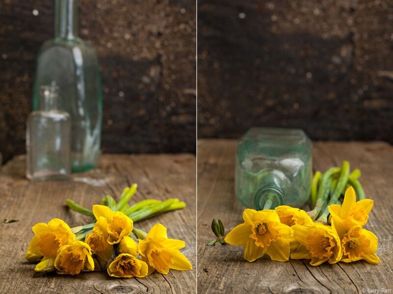 Yellow Daffodils on Wood — Calm, Spring