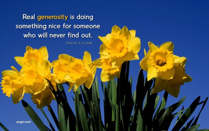 Yellow Daffodils — Serene, Spring