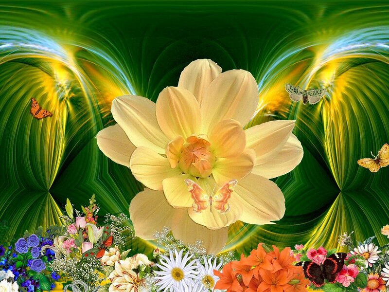 Yellow Dahlia Flower — Green
