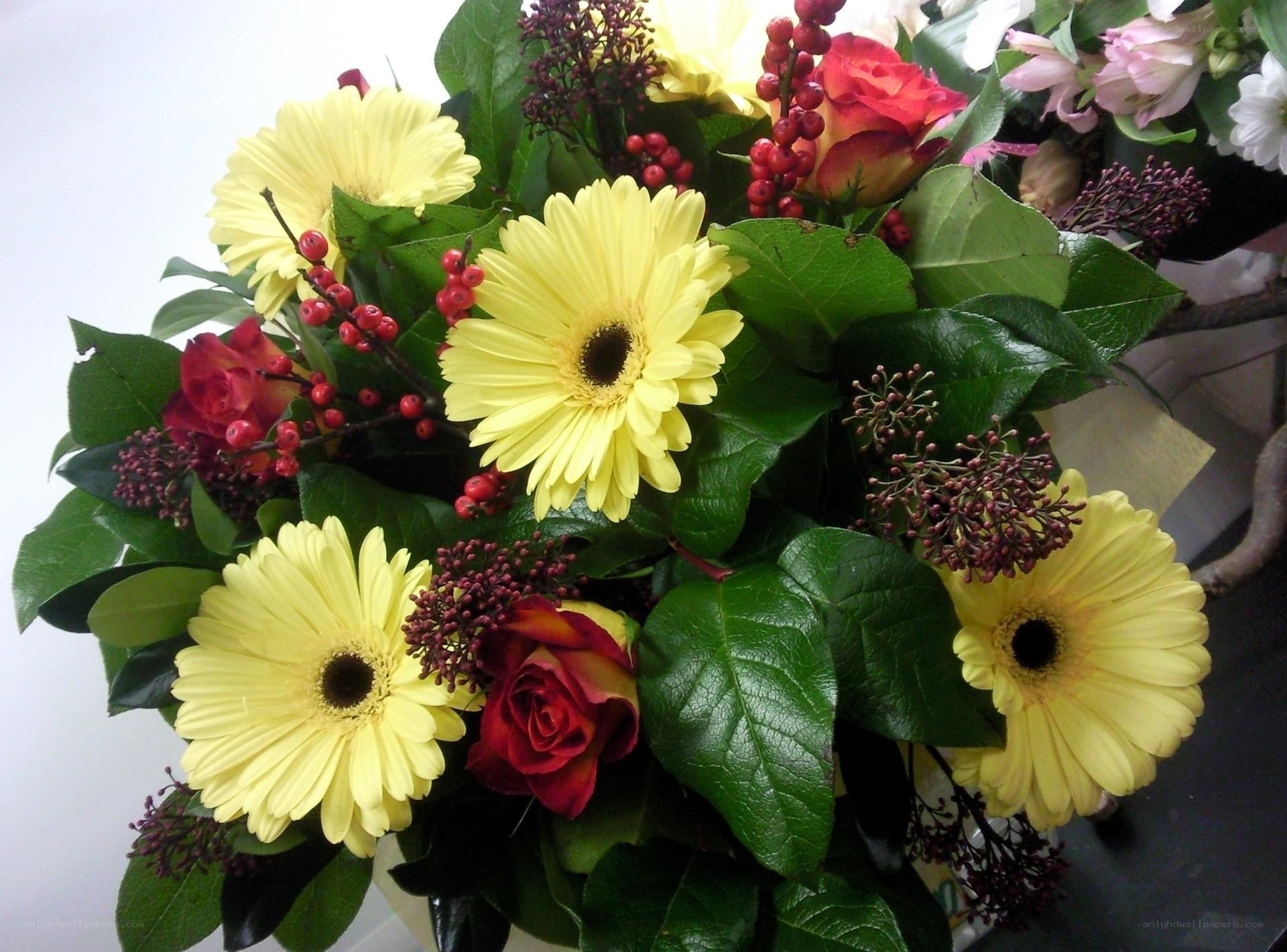 yellow daisies and red roses