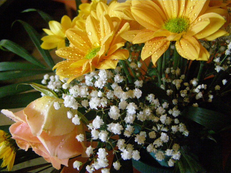 Yellow daisies and white baby's breath