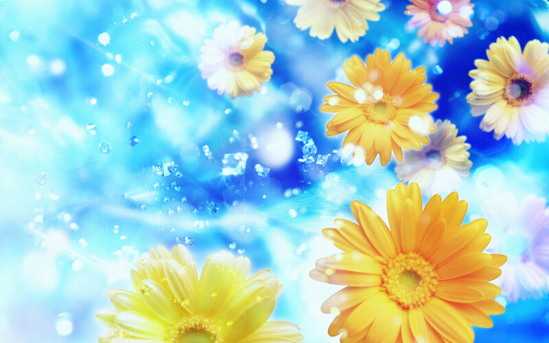 Yellow Daisies Floating — Blue, Dreamy