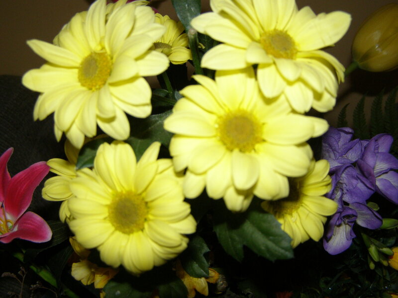 Yellow daisies in a bouquet