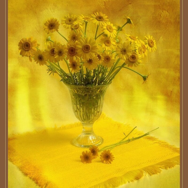 Yellow Daisies in Vase
