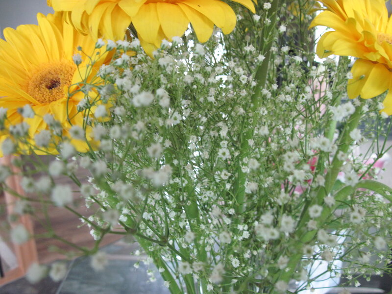 Yellow Daisies with Baby's Breath