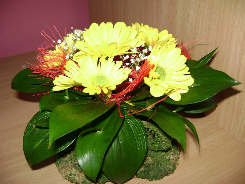 yellow daisies with green leaves