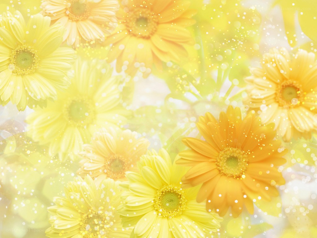 yellow daisies with sparkles