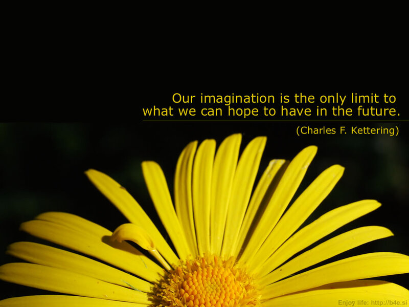 Yellow Daisy Flower — Inspirational