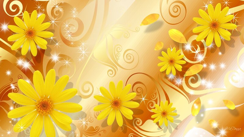 Yellow Daisy Flowers — Cheerful