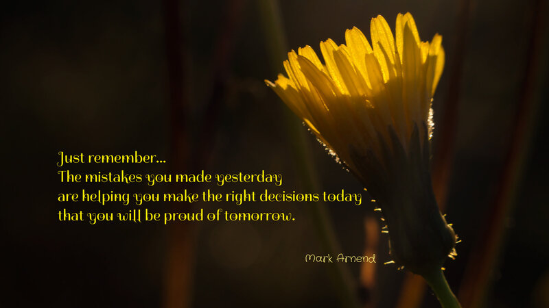 Yellow Dandelion Flower — Inspirational