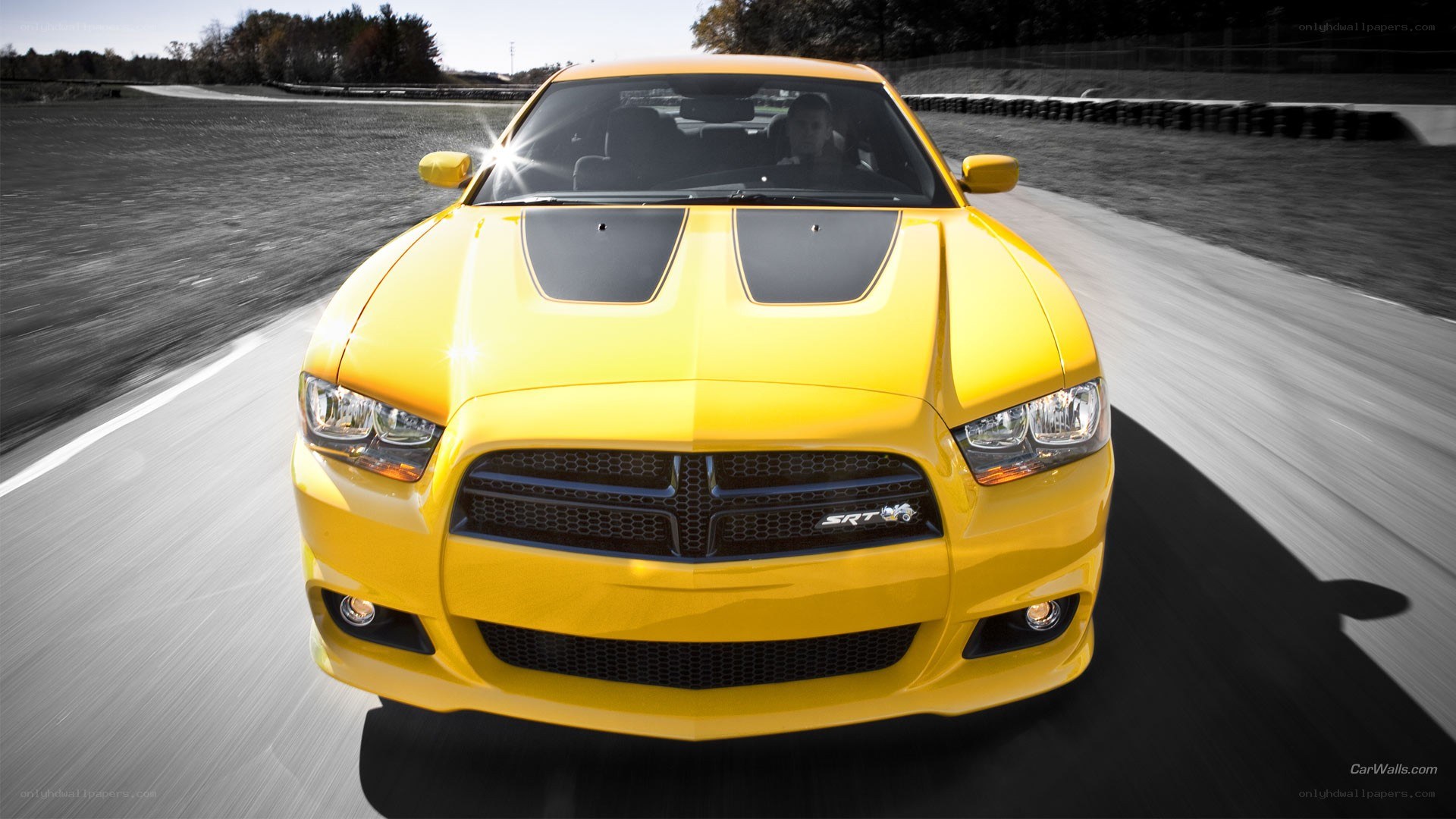yellow dodge charger srt8
