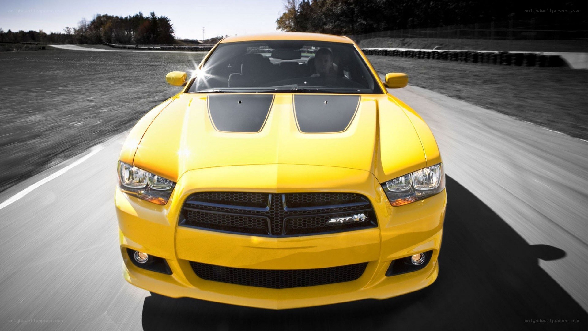 yellow dodge charger srt8