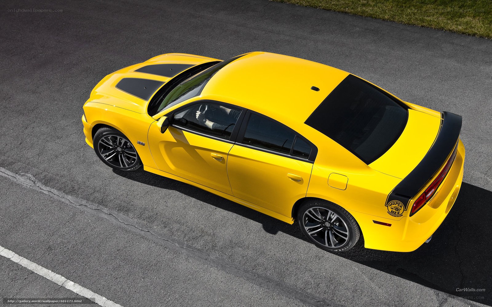 yellow dodge charger srt8