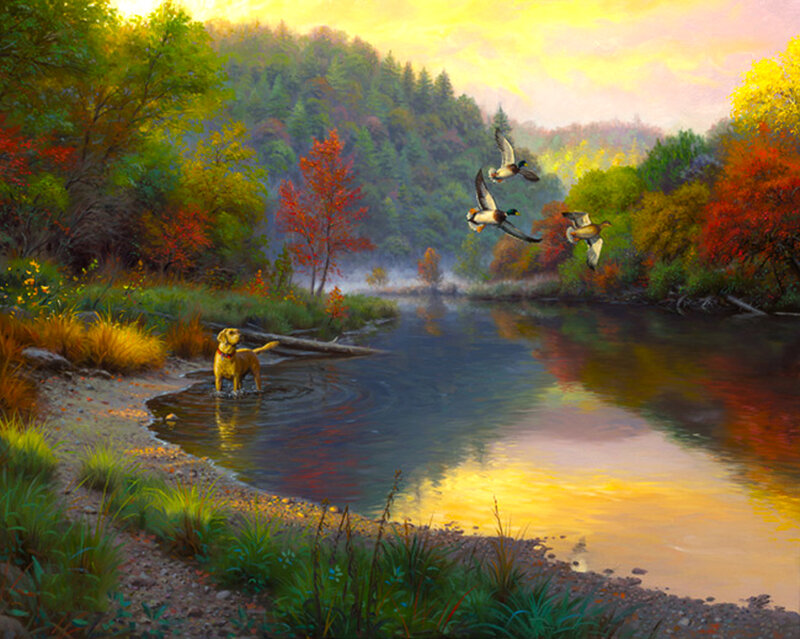 Yellow Dog in River