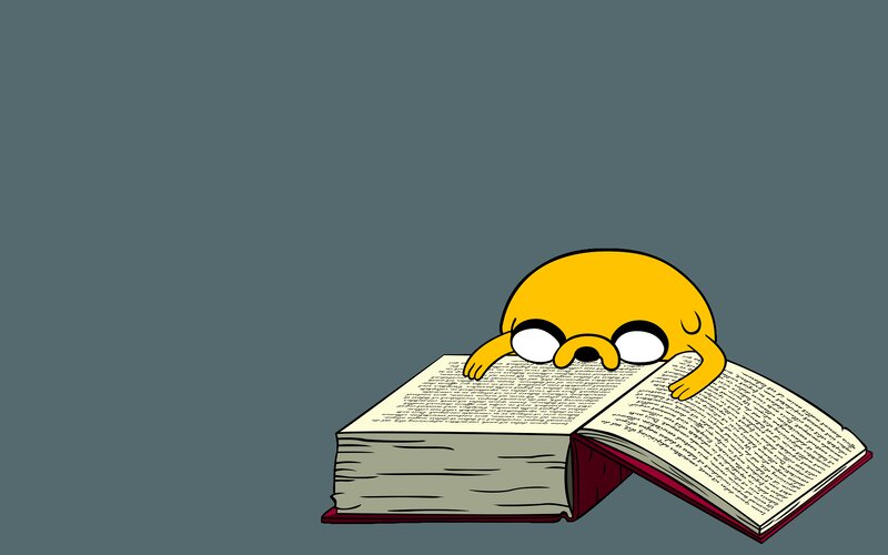 Yellow Dog Reading Book