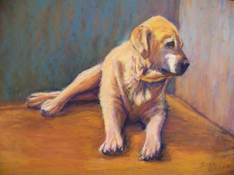 yellow dog resting painting