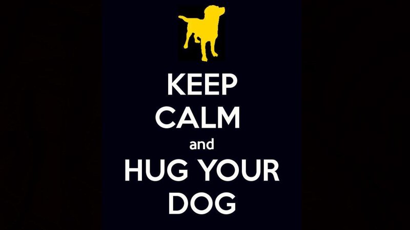 Yellow Dog Silhouette