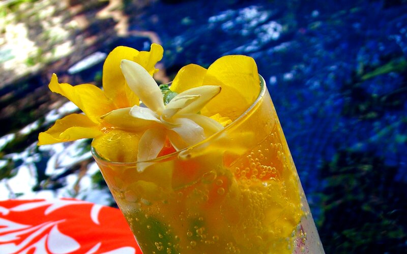 Yellow Drink with Flowers