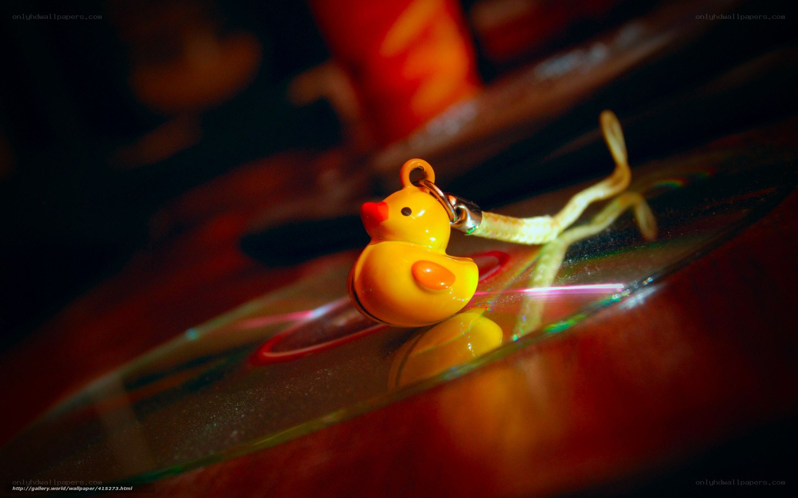Yellow duck charm on glass