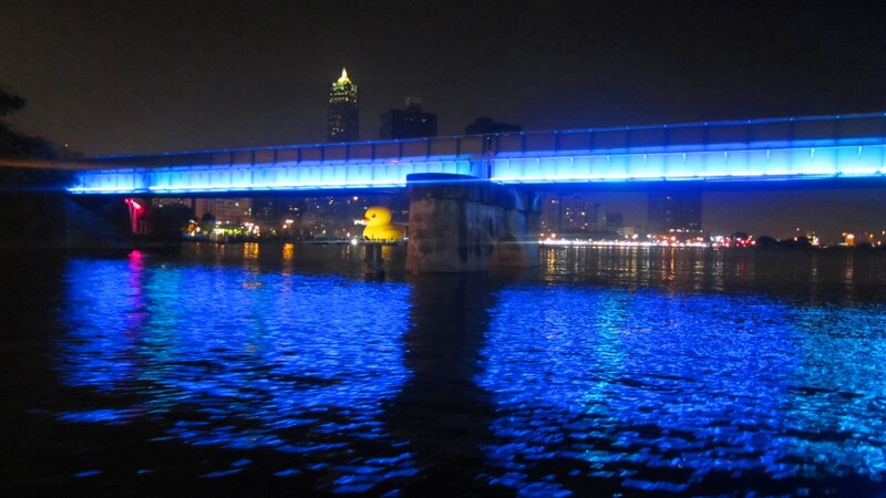 Yellow Duck on River